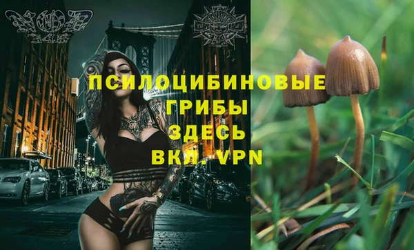 Альфа ПВП Арсеньев