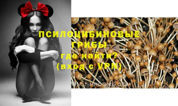 Альфа ПВП Арсеньев