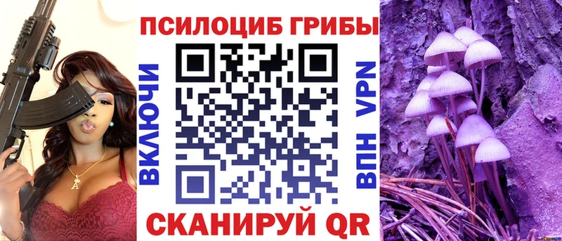 что такое наркотик  Нолинск  Галлюциногенные грибы Psilocybine cubensis 